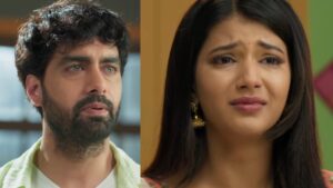YRKKH Upcoming Twist : Abhira Remembers Pookie